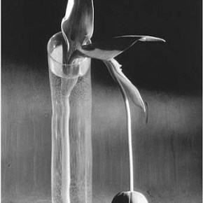 What’s the Point?:                                       Why Art&nbsp;Matters