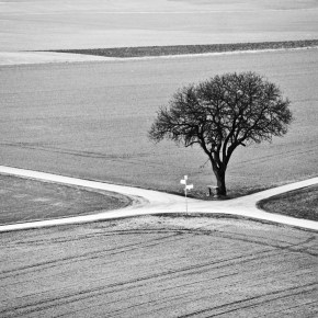 The Fallacy of Dreams: Why Maybe Will Get You&nbsp;Nowhere