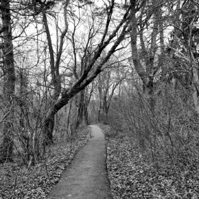 Delusions of Grandeur: Don’t Let Your Dreams Ruin Your&nbsp;Life